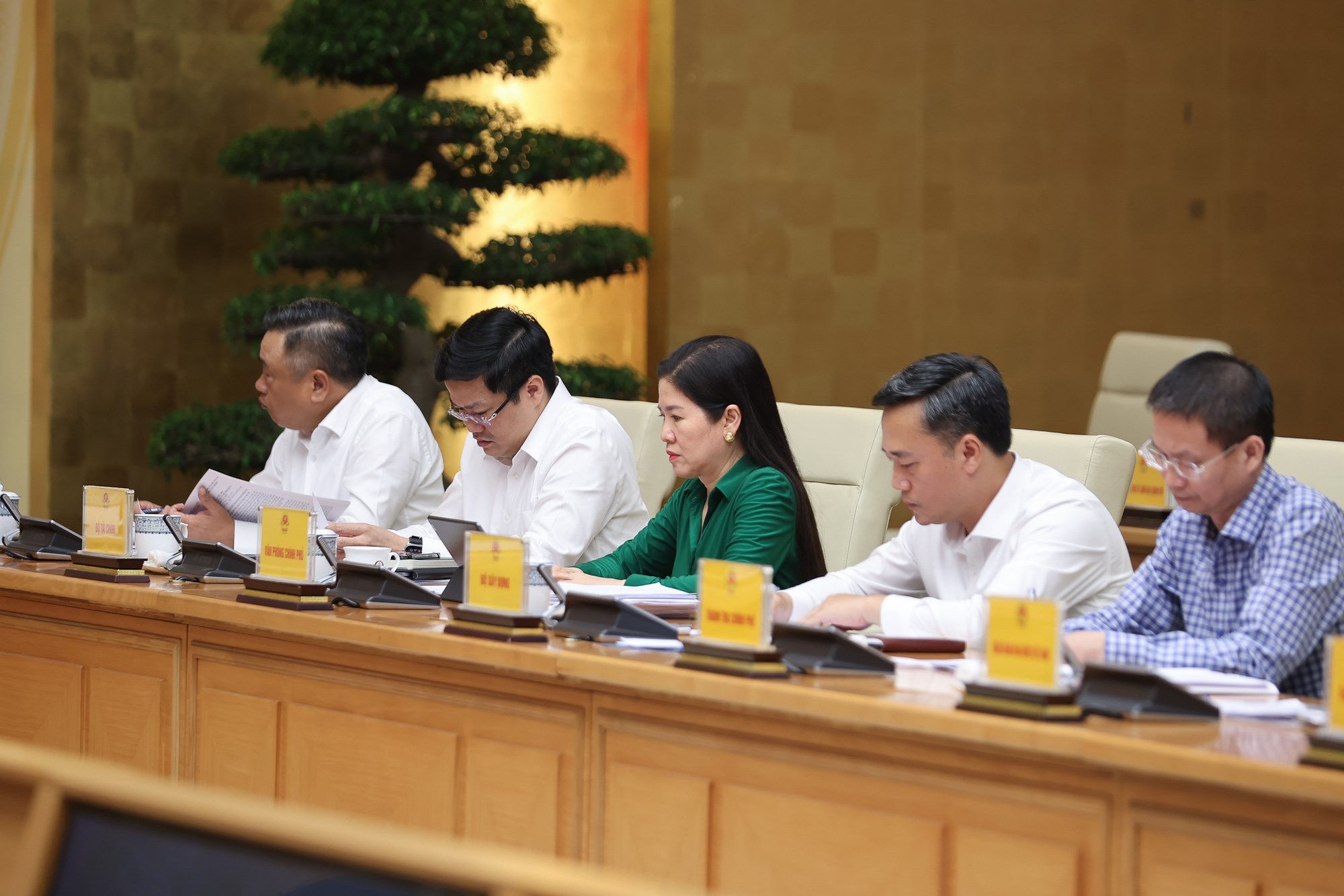 img8595-17543144628671456272178