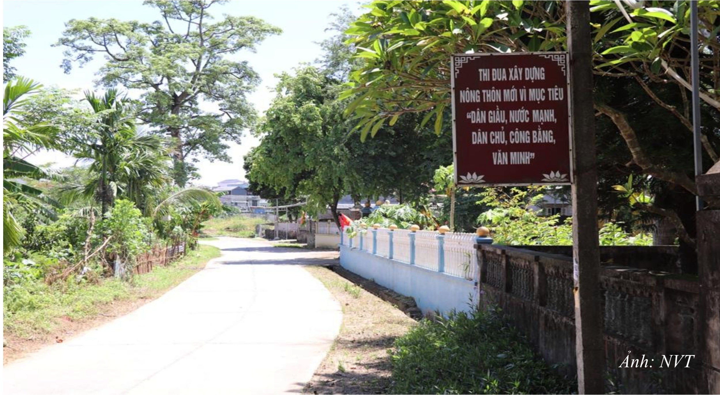 DT9. Đường thôn Trung Báo được bê tông hoá vững chắc