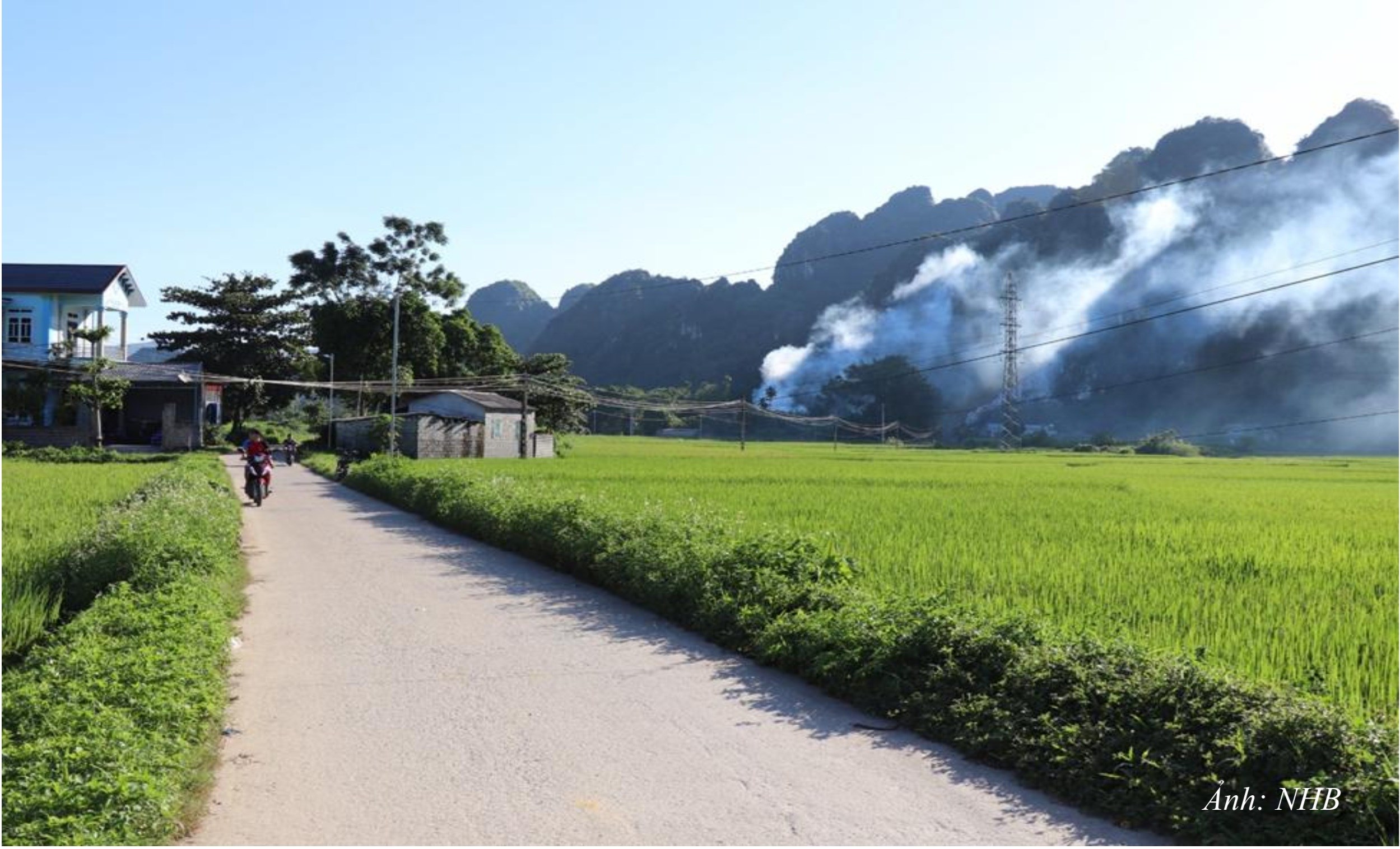 NT23. Ngôi nhà khang trang nằm trong không gian đẹp giữa núi và ruộng lúa đang chín vàng