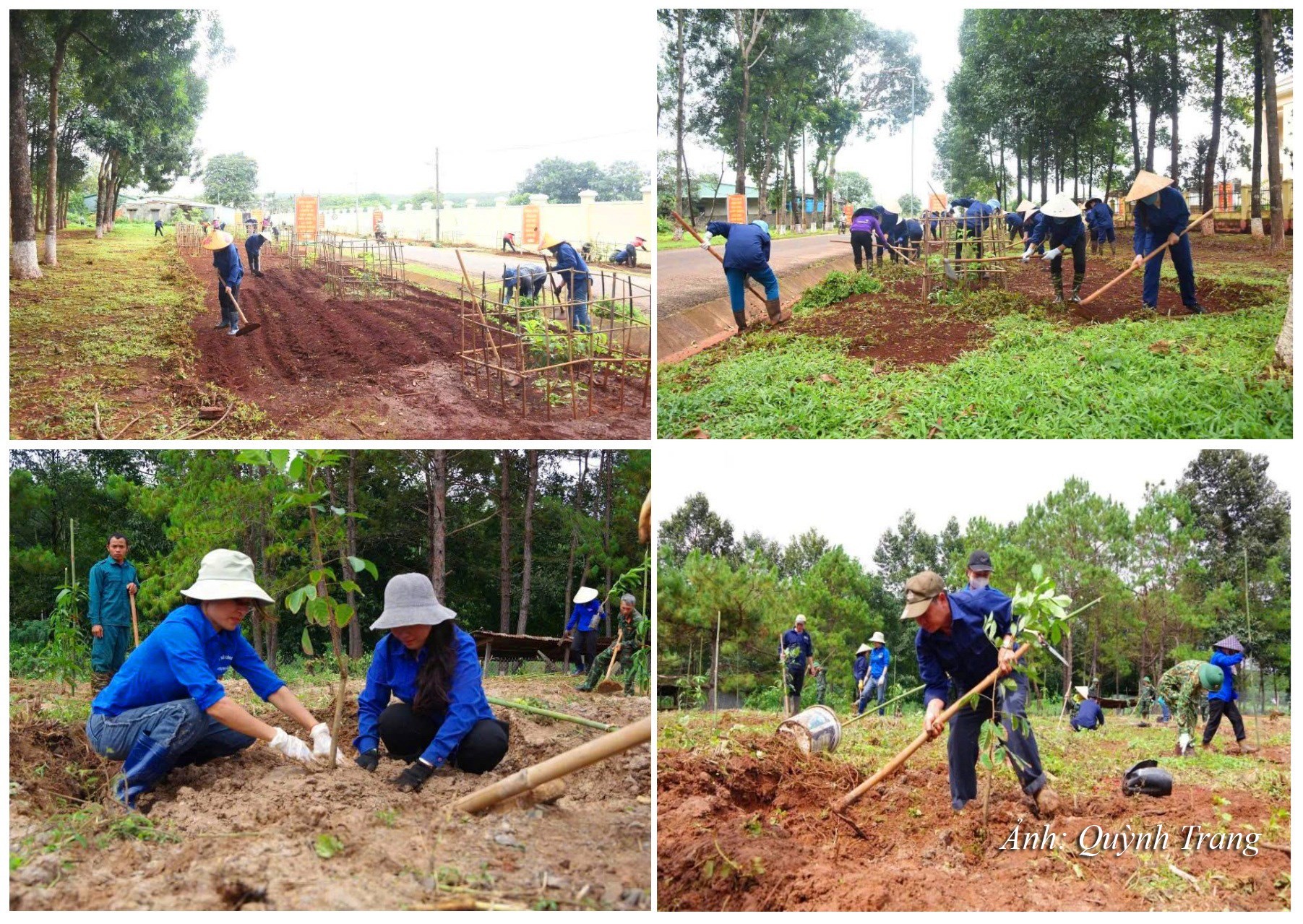 DT19. Tuổi trẻ xã Đăk Pơ chung tay xây dựng nông thôn mới