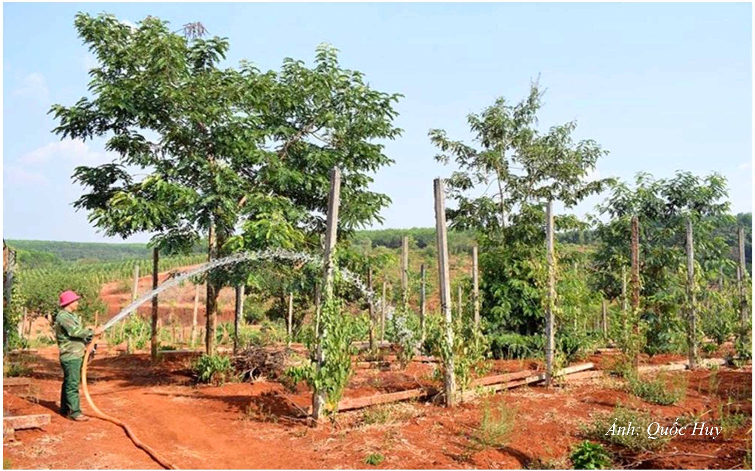 DT22. Đồng bào dân tộc thiểu số được hỗ trợ đất sản xuất để phát triển kinh tế