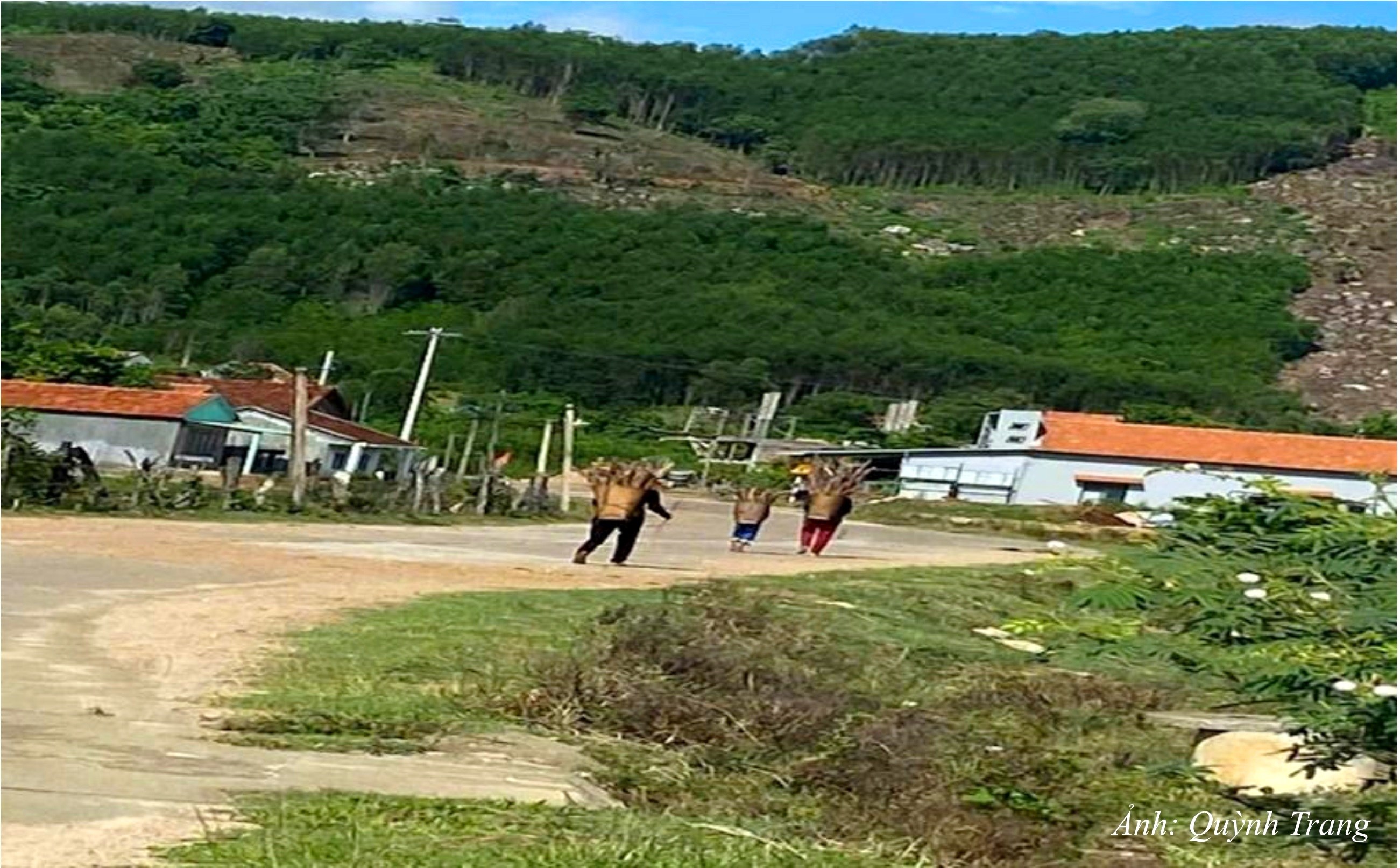 DT26. Đồng bào Bana tại xã Bình Phú đi làm nương rẫy