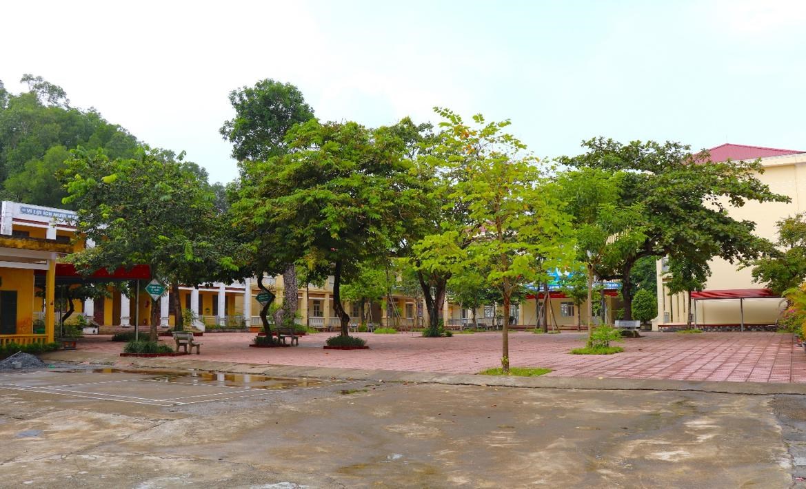 GN23. Sân trường THCS Liêm Cần nhiều cây xanh