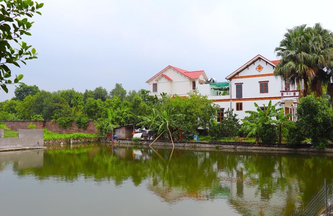 GN27. Những ngôi nhà khang trang có ao cá và cây xanh ở thôn Ứng Liêm