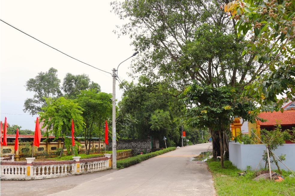 GN32. Một góc thông Dương Xá xanh, sạch, đẹp