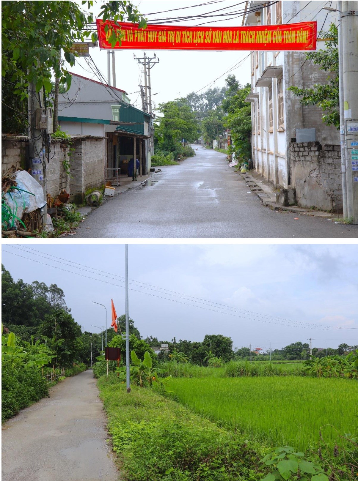 GN34. Đường thôn Ngũ Cối