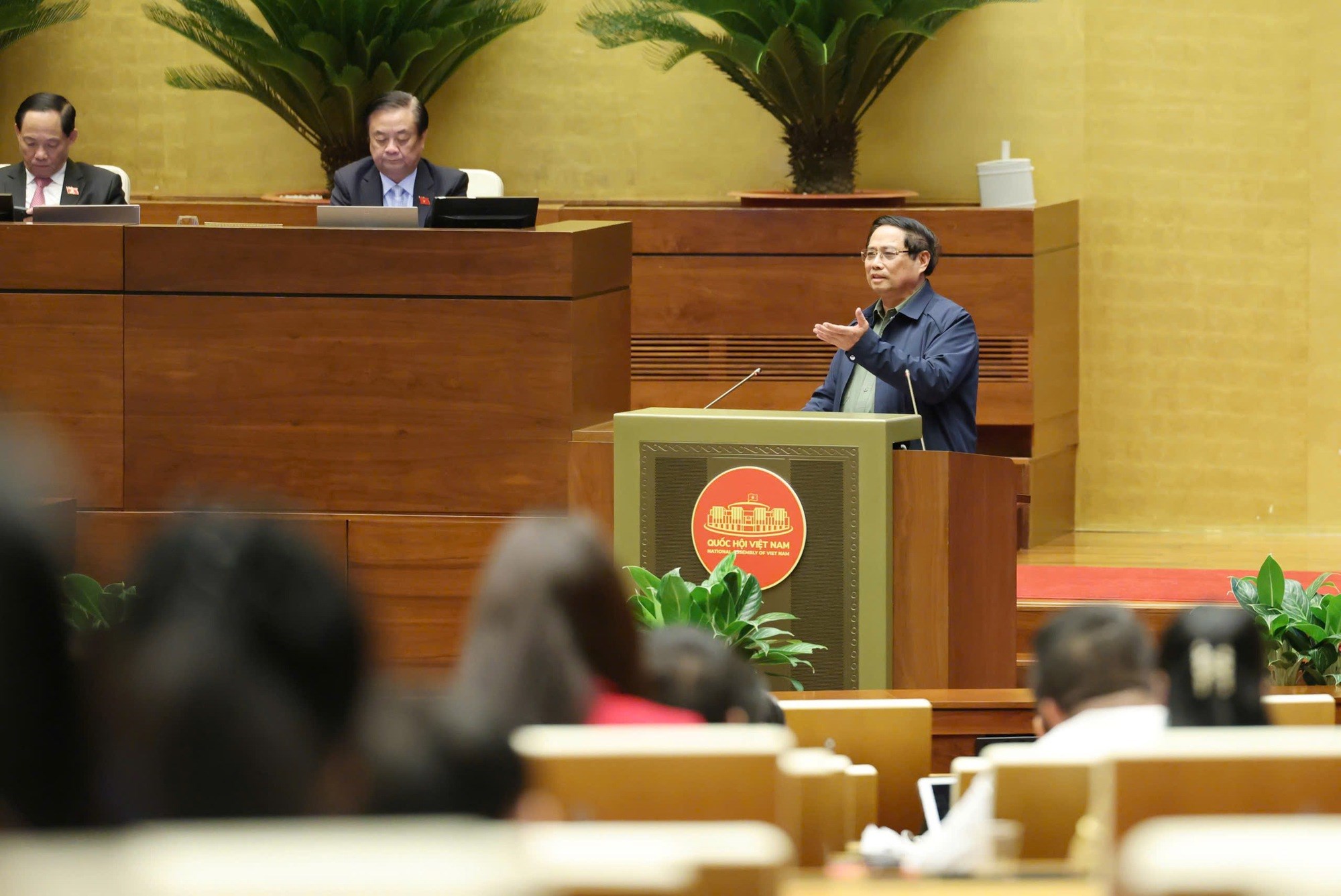 img8960-17618175087011641169205