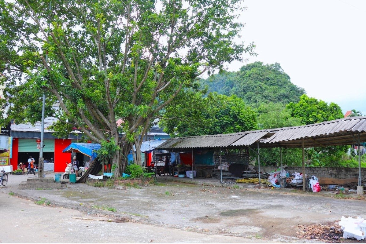 DT36. Chợ chiều thôn Phú Lâm