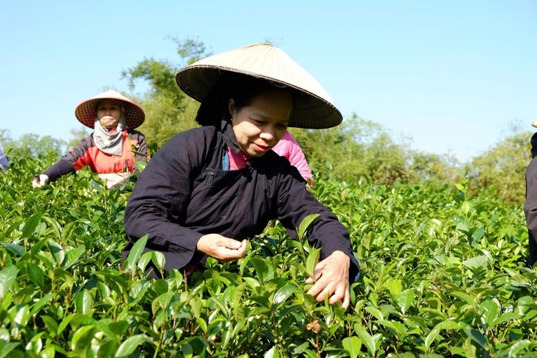 a3-17732856407141079631326